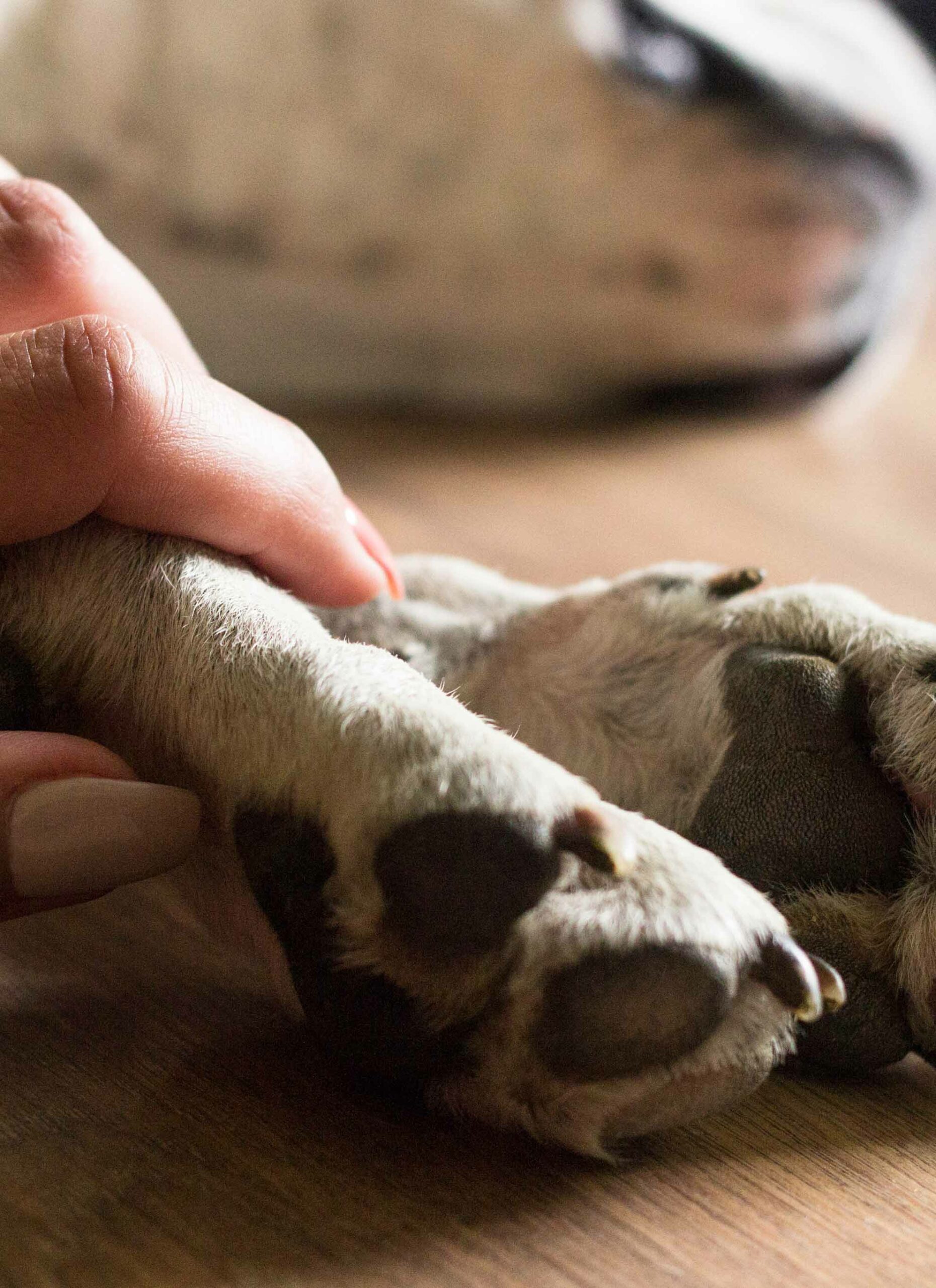 What to Expect When You Come In